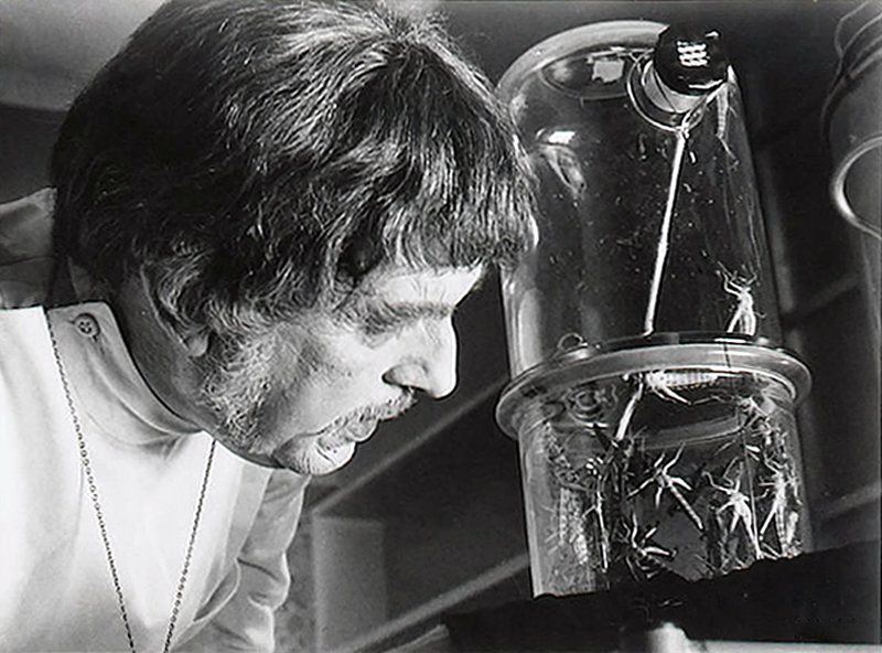 The Abominable Dr. Phibes 61