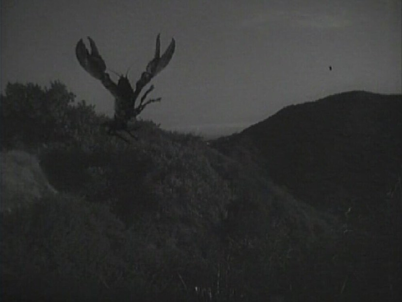 Teenagers from Outer Space 14