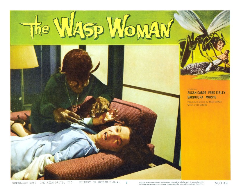 The Wasp Woman 29