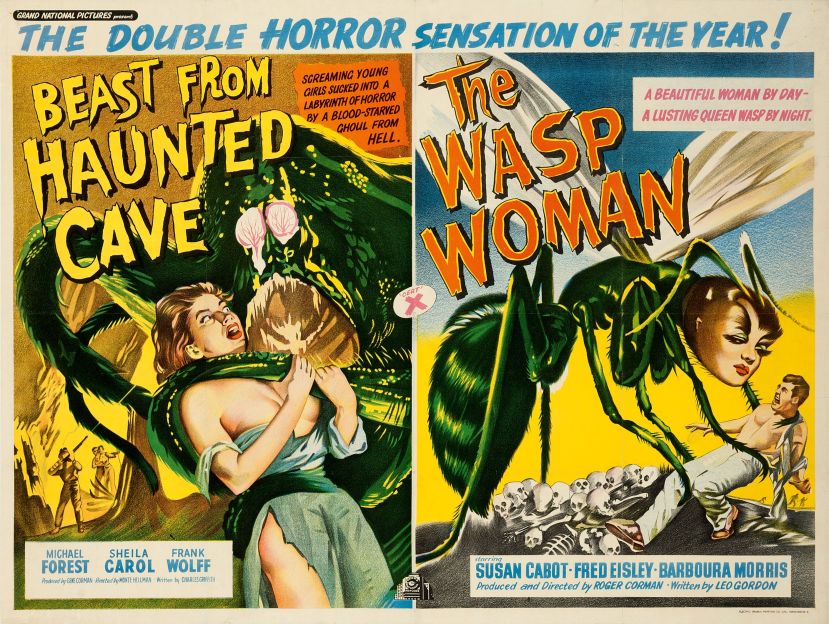 The Wasp Woman 4