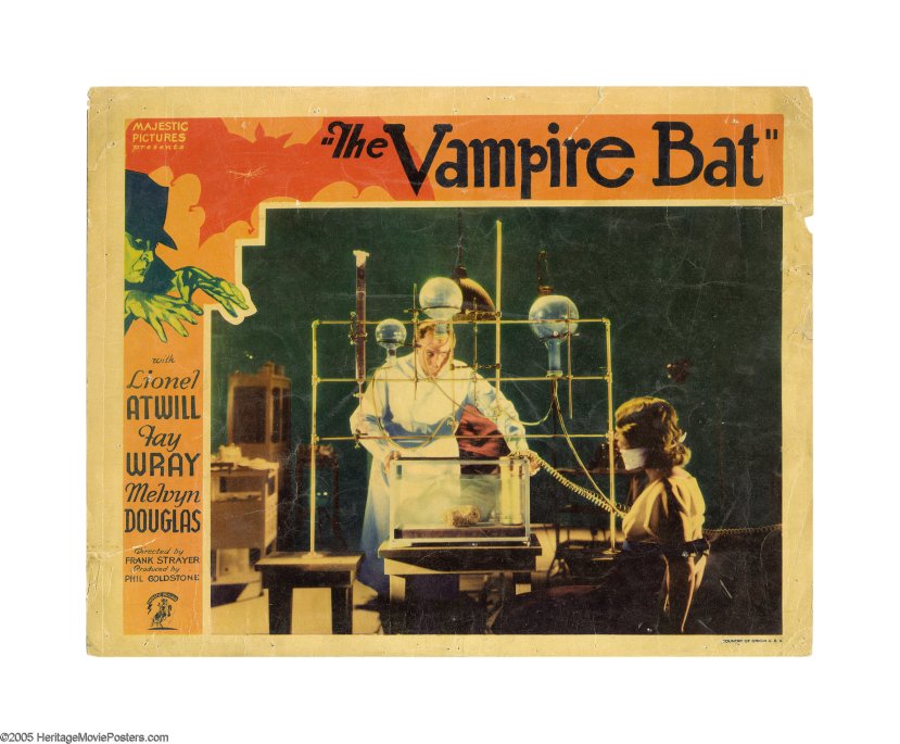 The Vampire Bat 19