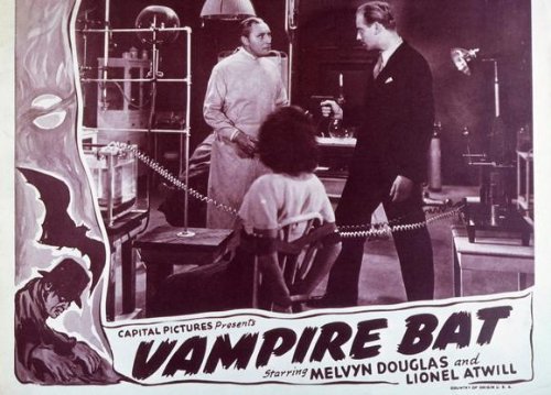The Vampire Bat 22