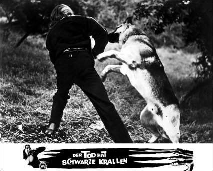 i-was-a-teenage-werewolf-103