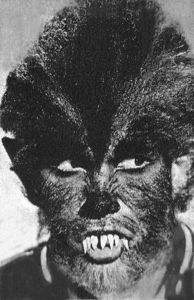 i-was-a-teenage-werewolf-123