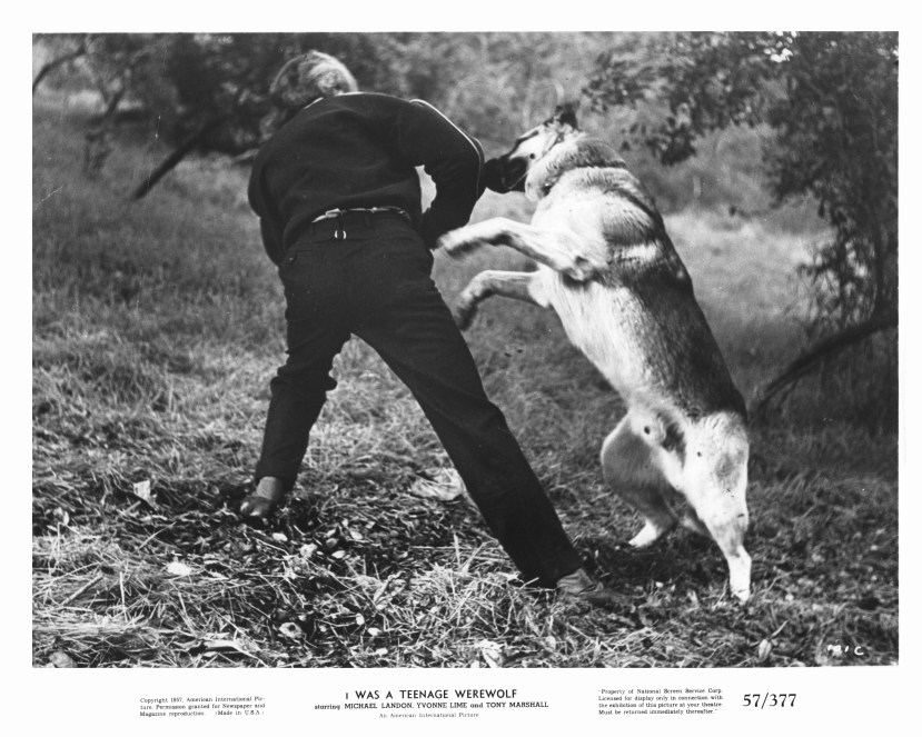 i-was-a-teenage-werewolf-134