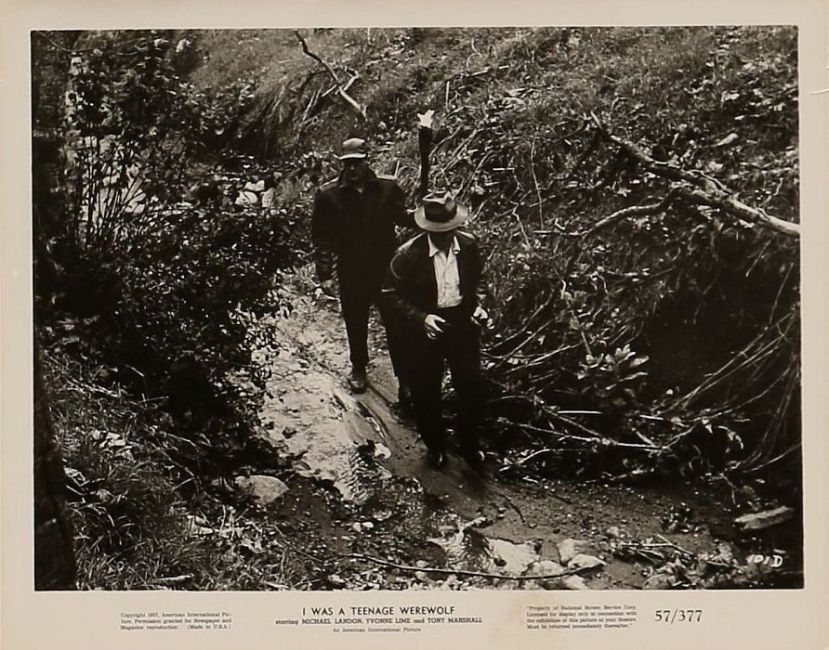 i-was-a-teenage-werewolf-71