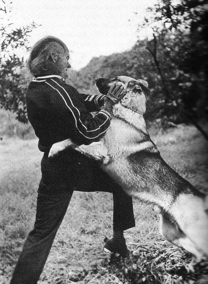 i-was-a-teenage-werewolf-78