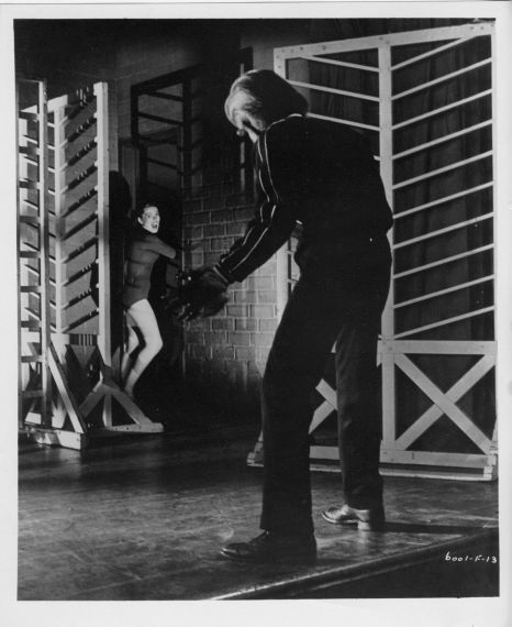 i-was-a-teenage-werewolf-81