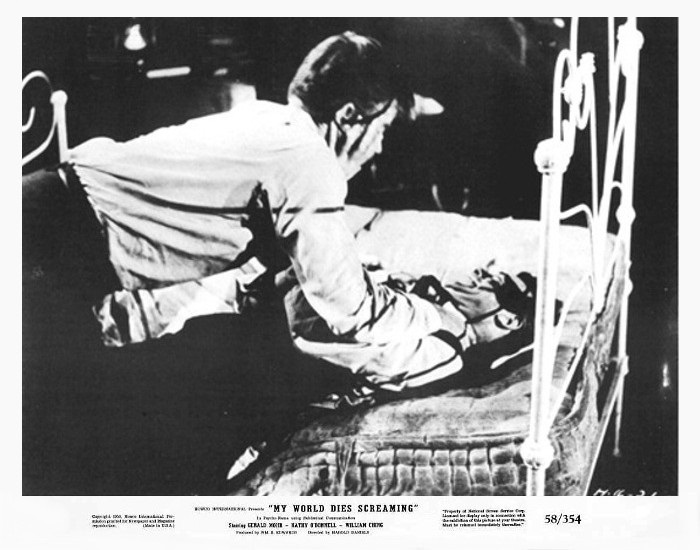 terror-in-the-haunted-house-16