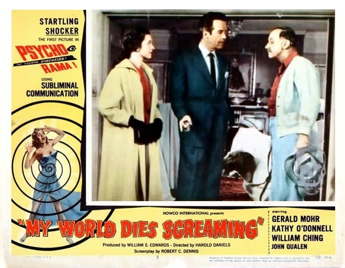 terror-in-the-haunted-house-22