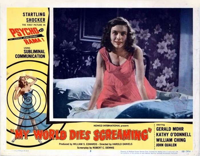 terror-in-the-haunted-house-24