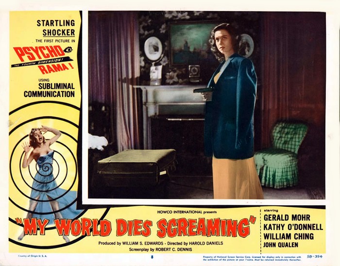 terror-in-the-haunted-house-27