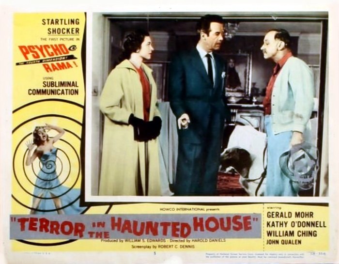 terror-in-the-haunted-house-8