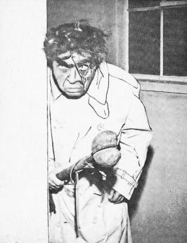 how-to-make-a-monster-75