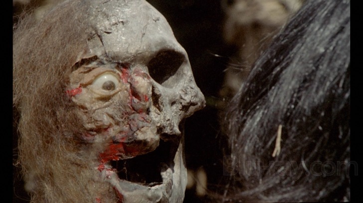 oasis-of-the-zombies-7