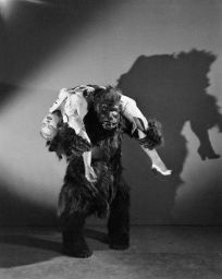 bride-of-the-gorilla-18