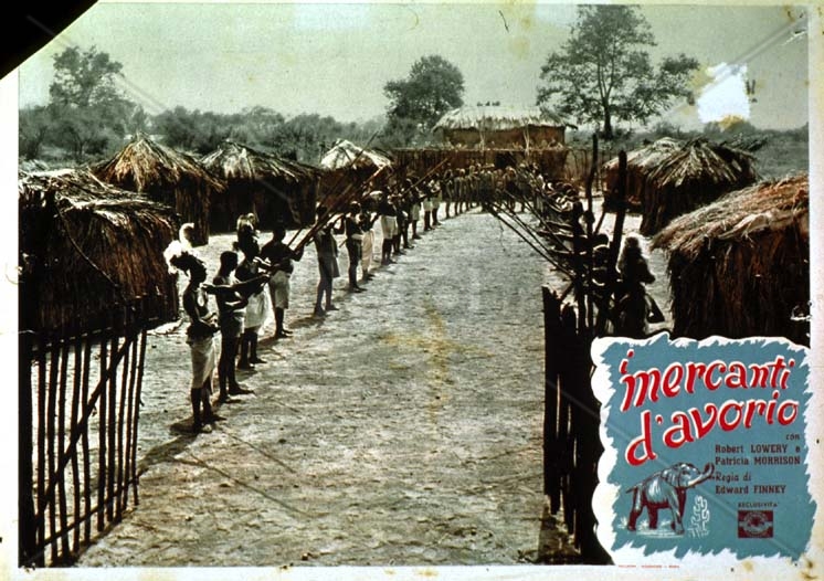 queen-of-the-amazons-19