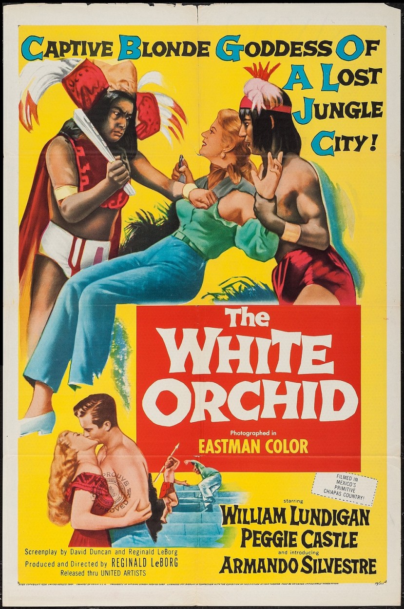the-white-orchid-1