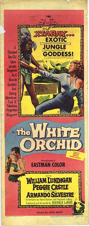 the-white-orchid-2