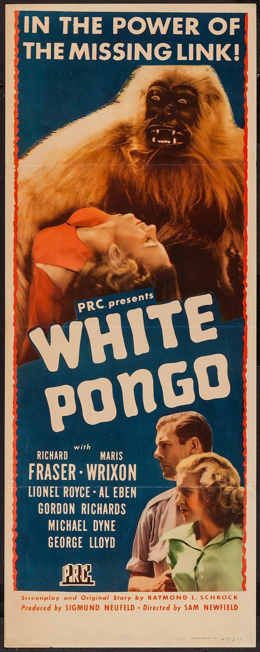 white-pongo-2