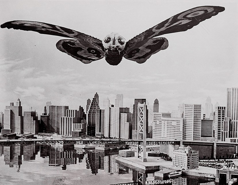 mothra-13