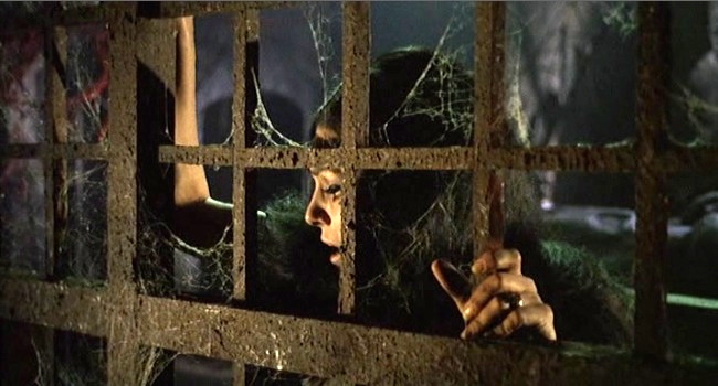 the-whip-and-the-body-25