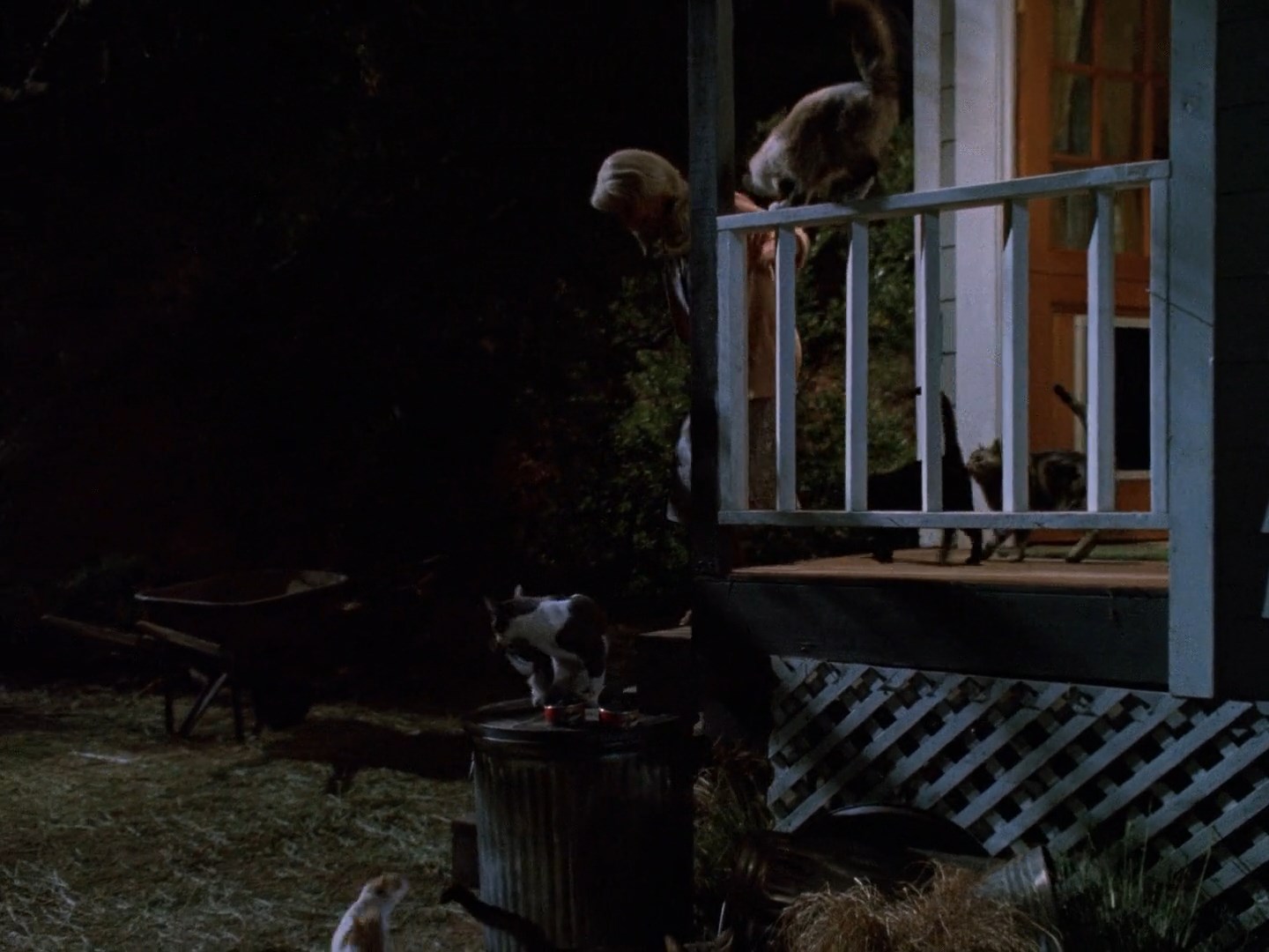 Strays (1991) – The Visuals – The Telltale Mind